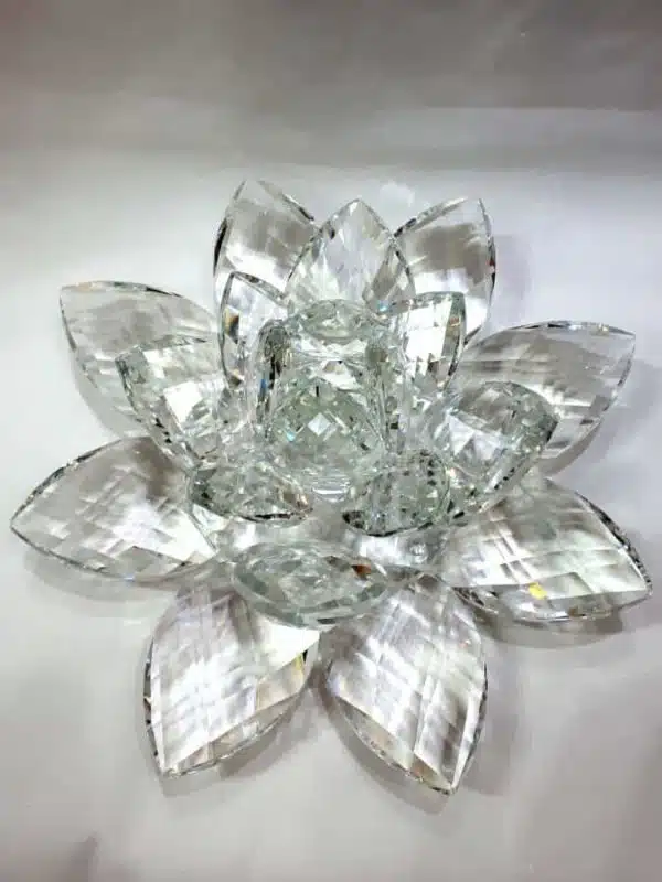 Kristalllotusblume klar 30 cm 2,5 kg