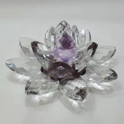 Kristalllotusblume lila 11 cm