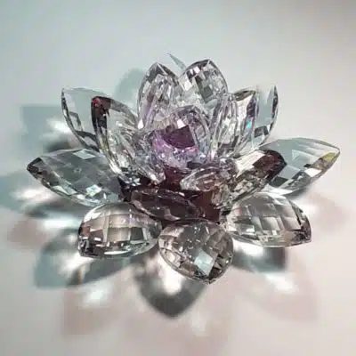 Kristalllotusblume lila 15 cm