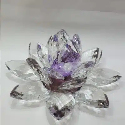 Kristalllotusblume lila 20 cm
