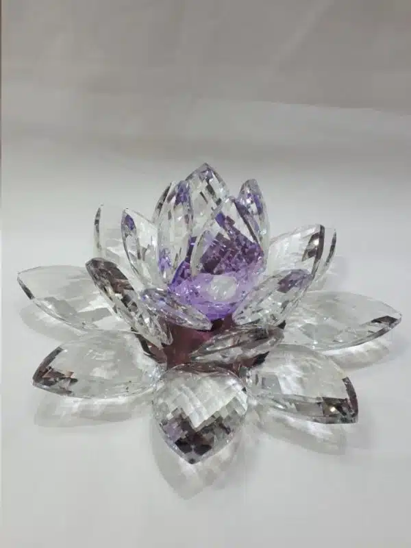 Kristalllotusblume lila 20 cm