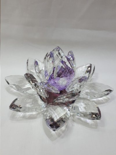 Kristalllotusblume lila 30 cm 2,5 kg