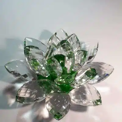 Kristalllotusblume grün 20 cm