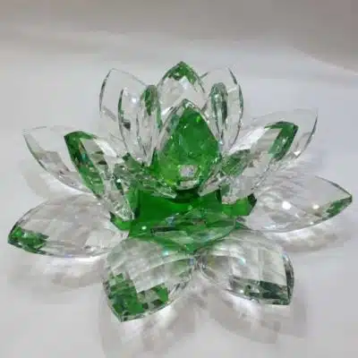 Kristalllotusblume grün 30 cm 2,5 kg