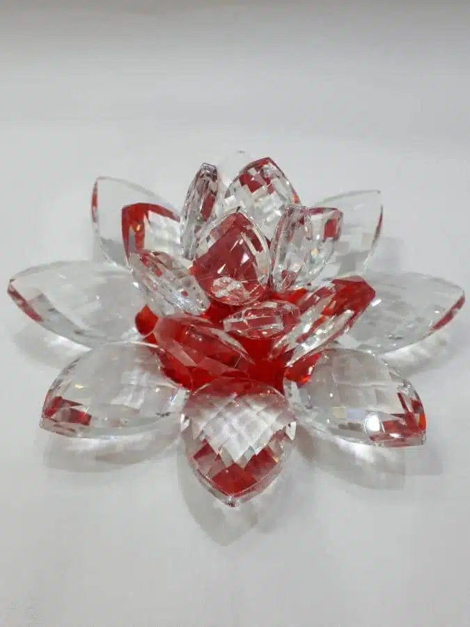 Rote Kristalllotusblume 11 cm
