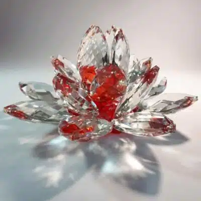 Rote Kristalllotusblume 30 cm 2,5 kg
