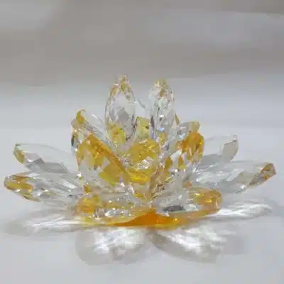 Kristalllotusblume gelb 11 cm