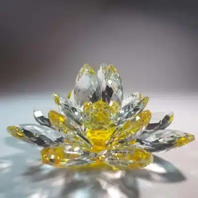 Kristalllotusblume gelb 15 cm