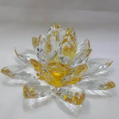 Kristalllotusblume gelb 20 cm
