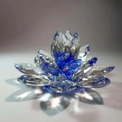 Kristalllotusblume blau 11 cm