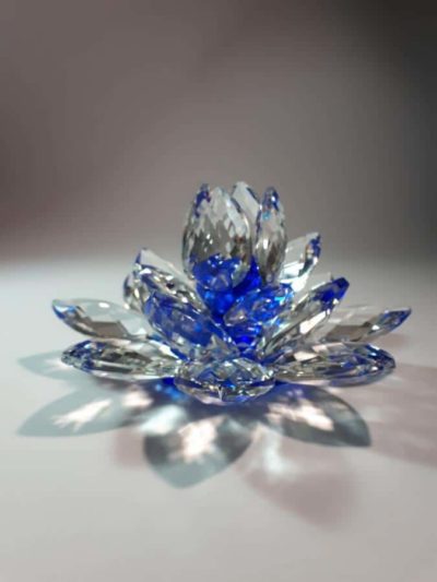 Kristalllotusblume blau 11 cm