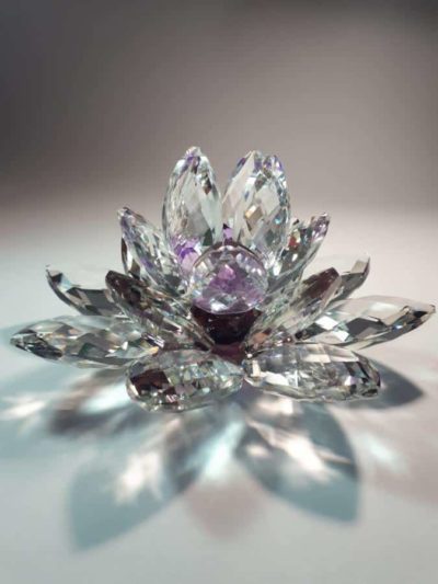 Kristalllotusblume lila 15 cm – Bild 2
