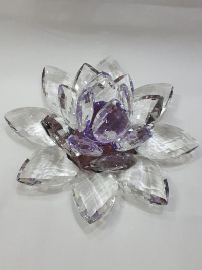 Kristalllotusblume lila 20 cm – Bild 2