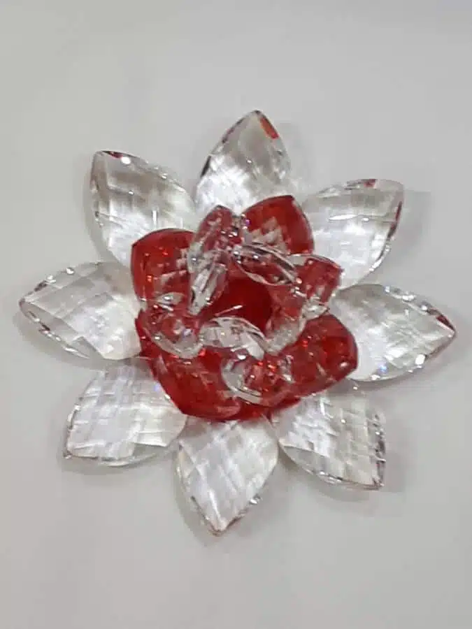 Rote Kristalllotusblume 11 cm – Bild 2