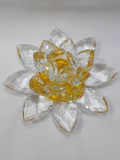 Kristalllotusblume gelb 20 cm – Bild 2