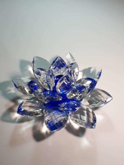 Kristalllotusblume blau 11 cm – Bild 2