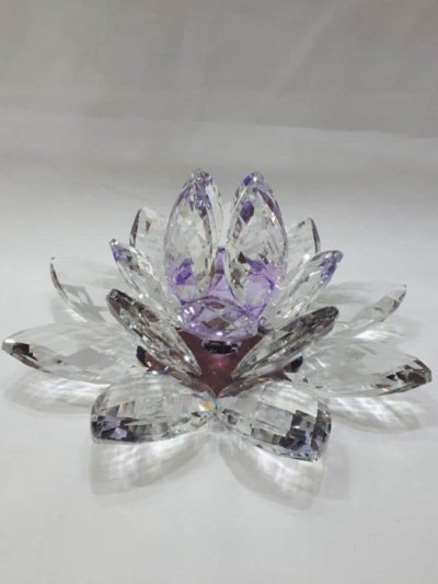 Kristalllotusblume lila 20 cm – Bild 3