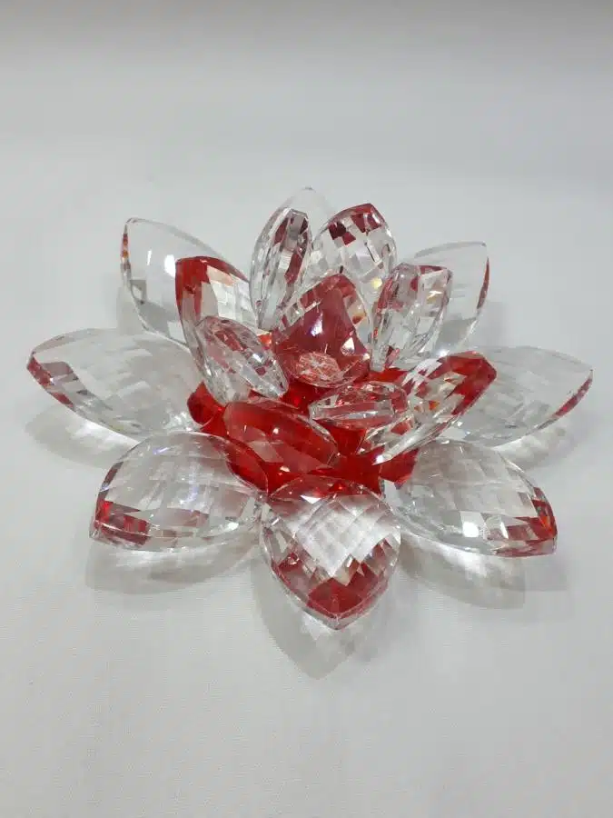 Rote Kristalllotusblume 11 cm – Bild 3