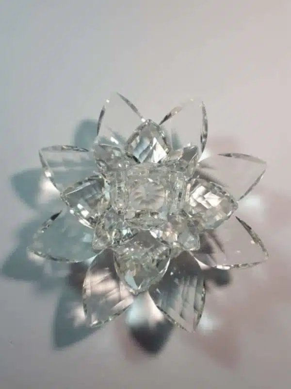 Kristalllotusblume klar 30 cm 2,5 kg – Bild 8