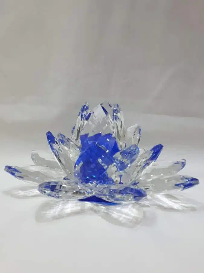 Kristalllotusblume blau 20 cm – Bild 4