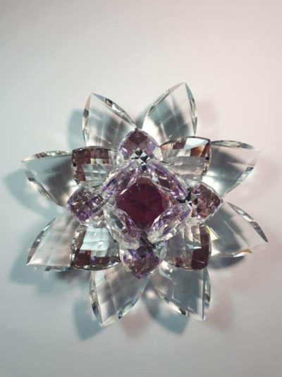 Kristalllotusblume lila 15 cm – Bild 4