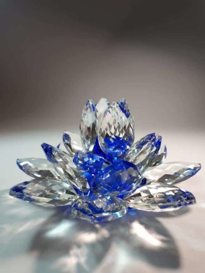 Kristalllotusblume blau 11 cm – Bild 4