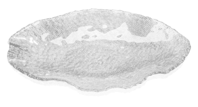Schüssel oval FOL klar 50 x 29 cm
